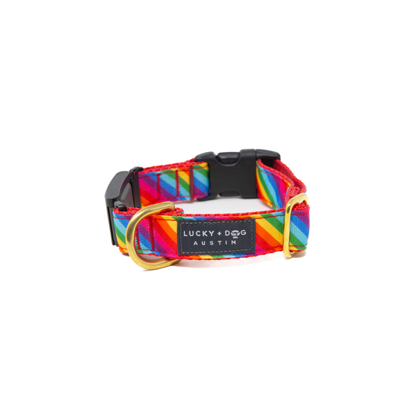 Fi Collar Band - Pride  Fi Collar Band - Pride