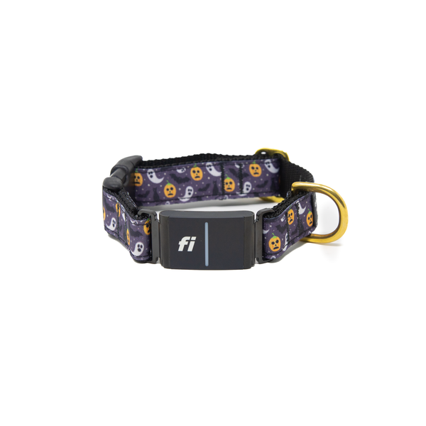 Fi Collar Band - Happy Haunting Fi Collar Band - Happy Haunting