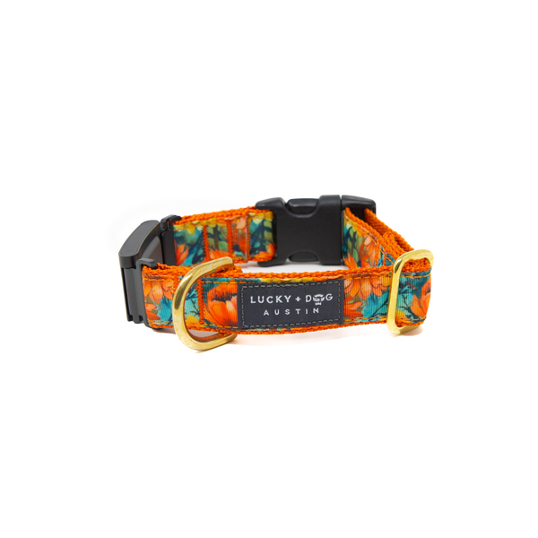 Fi Collar Band - Poppy Bloom  Fi Collar Band - Poppy Bloom