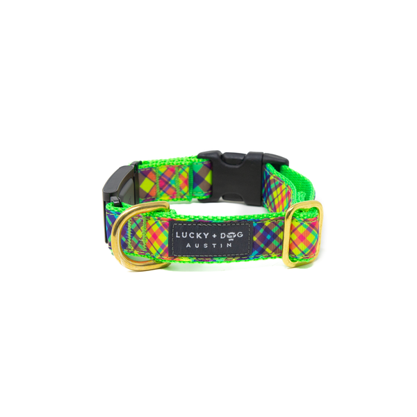 Fi Collar Band - Ice Cream Zoomies