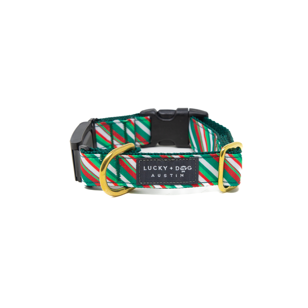 Fi Collar Band - Wonderland Stripe