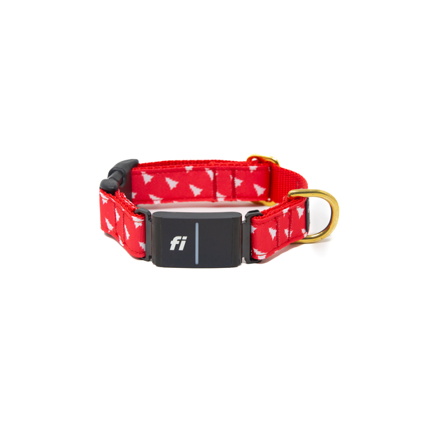 Fi Collar Band - Tinsel Trees Fi Collar Band - Tinsel Trees