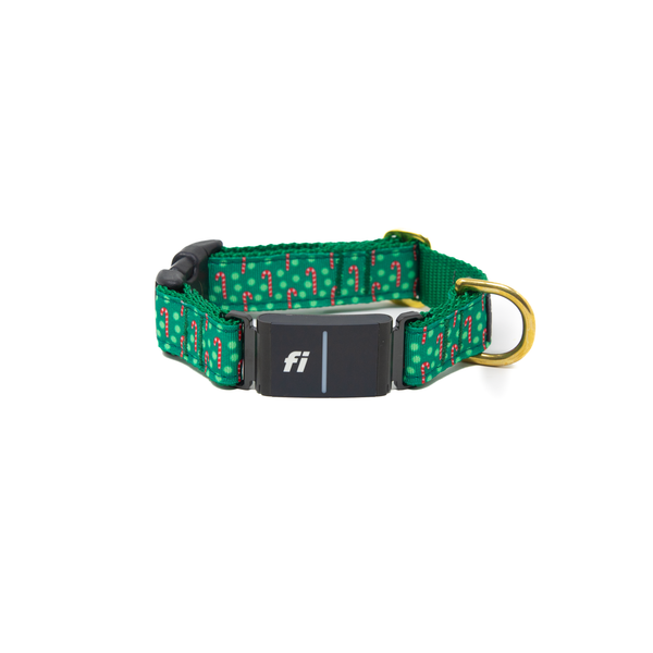 Fi Collar Band - Candy Cane Lane