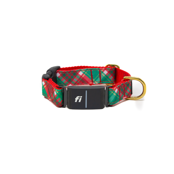 Fi Collar Band - Holiday Tartan