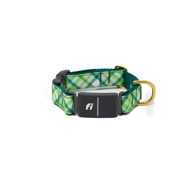 Fi Collar Band - St. Patty Tartan Fi Collar Band - St. Patty Tartan
