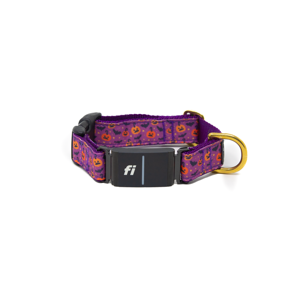 Fi Collar Band - Purple Potion