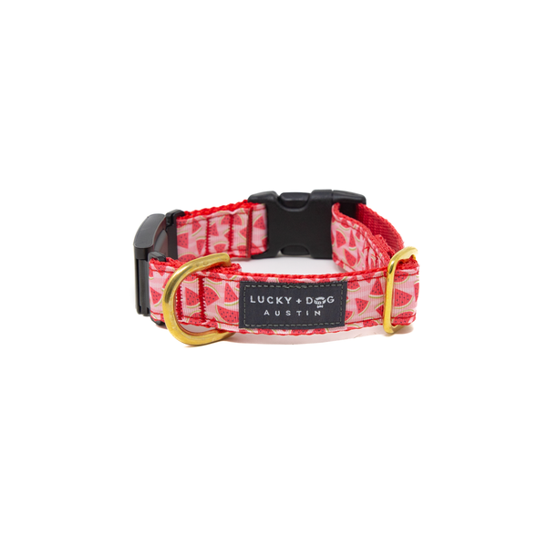 Fi Collar Band - Melon Magic  Fi Collar Band - Melon Magic