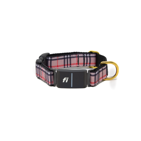 Fi Collar Band - London Furberry  Fi Collar Band - London Furberry