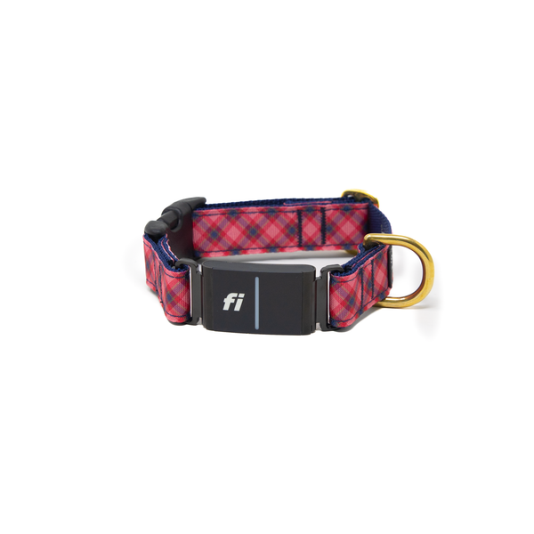 Fi Collar Band - Fall Harvest Fi Collar Band - Fall Harvest