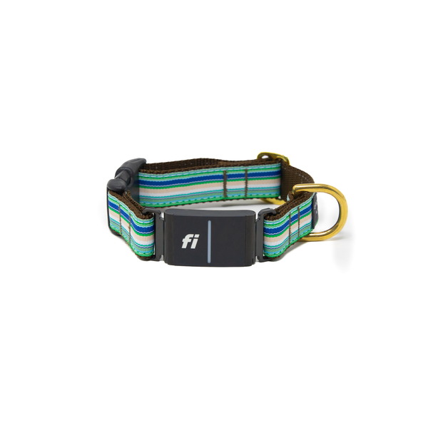 Fi Collar Band - Coastal Cabana Fi Collar Band - Coastal Cabana