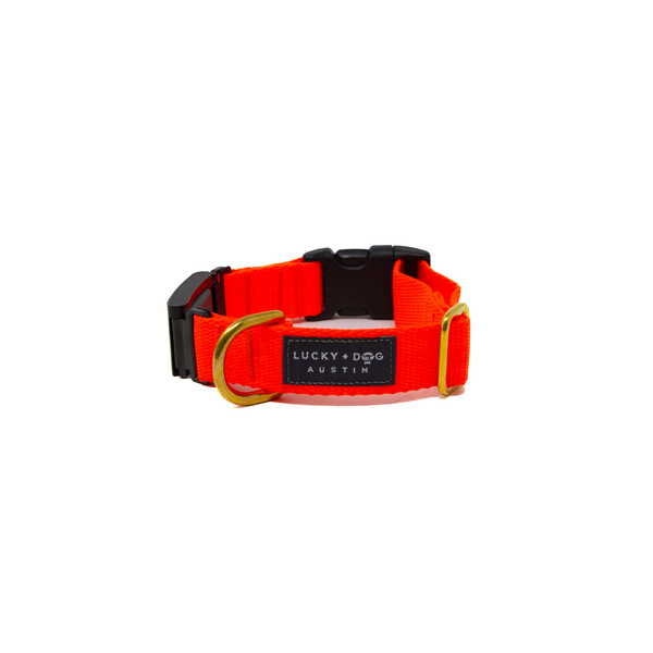 Fi Collar Band - Neon Orange Fi Collar Band - Neon Orange