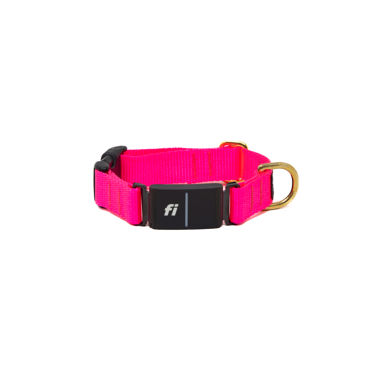 Fi Collar Band - Hot Pink – LUCKY + DOG AUSTIN
