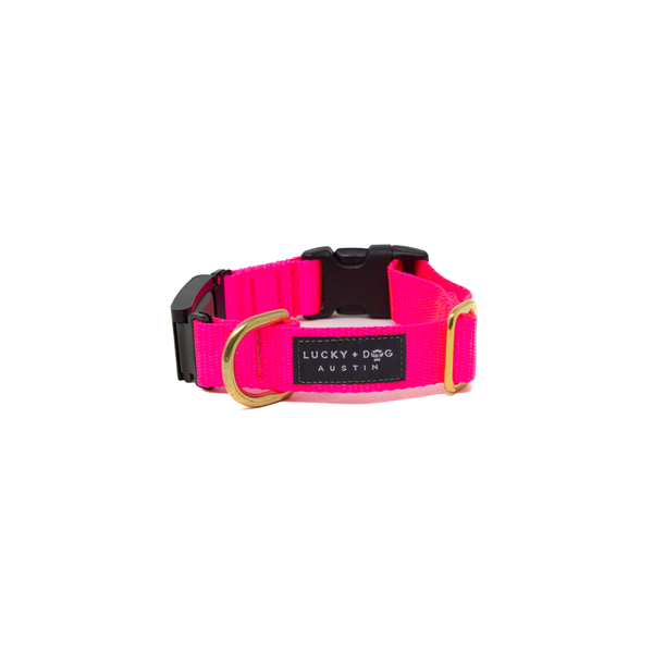 Fi Collar Band - Hot Pink
