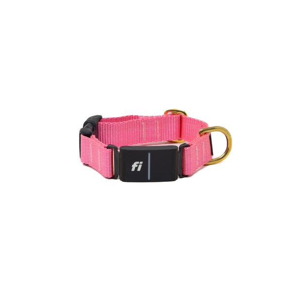 Fi Collar Band - Pink Fi Collar Band - Pink