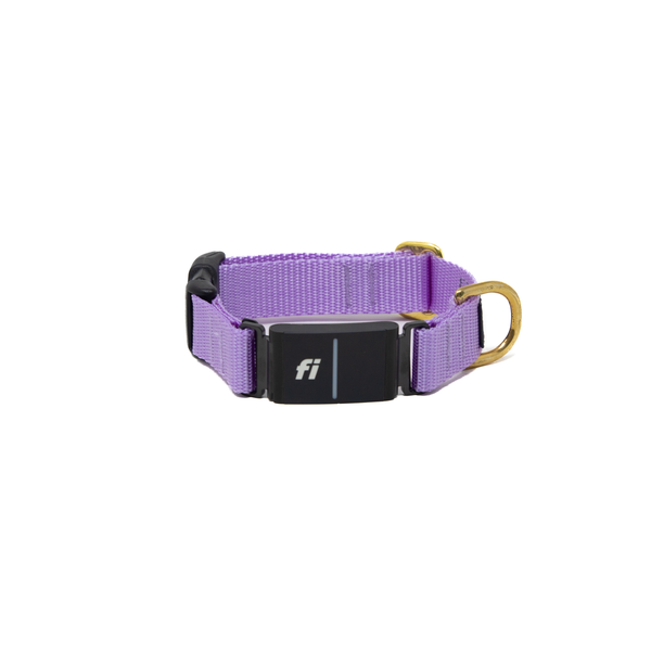 Fi Collar Band - Lavender