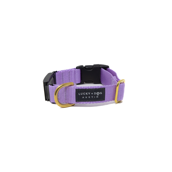 Fi Collar Band - Lavender
