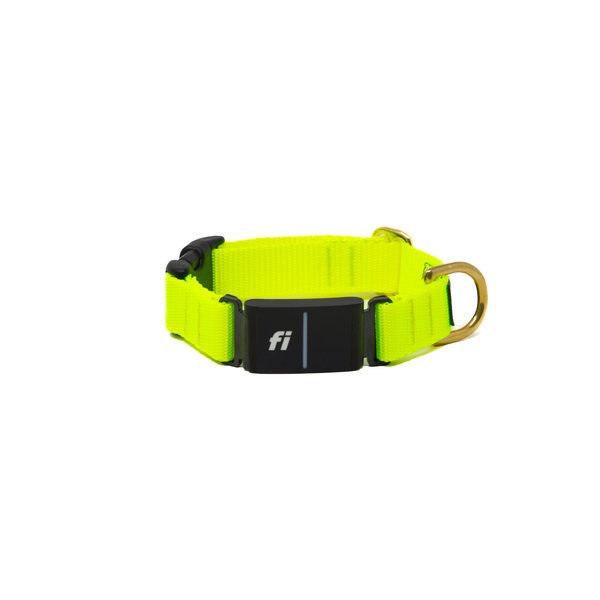 Fi Collar Band - Bright Yellow Fi Collar Band - Bright Yellow