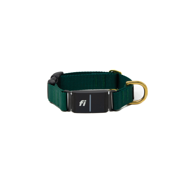 Fi Collar Band - Forest Green
