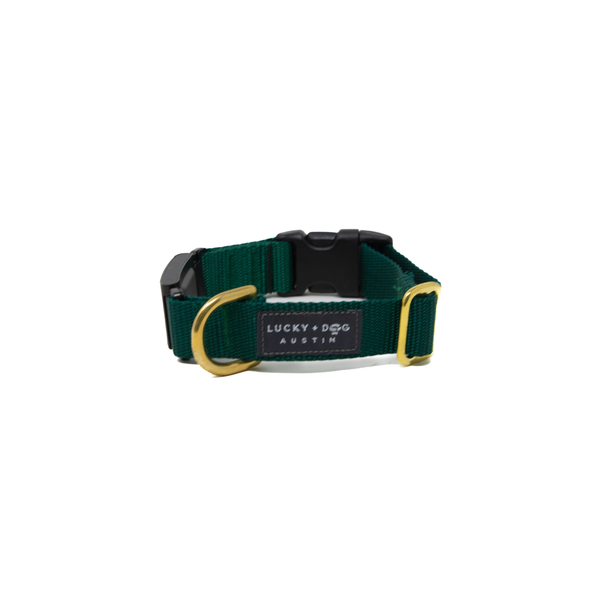 Fi Collar Band - Forest Green