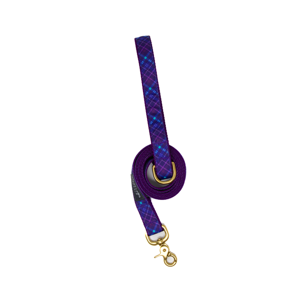 6 ft Leash - Purplaid Posh