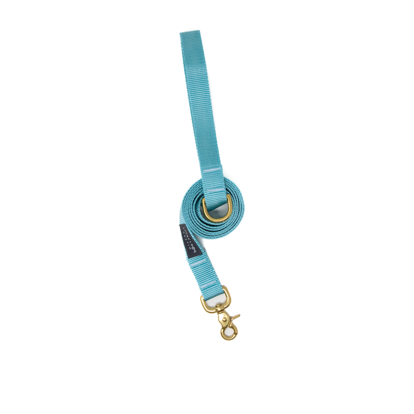 6 ft Leash - Baby Blue 6 ft Leash - Baby Blue