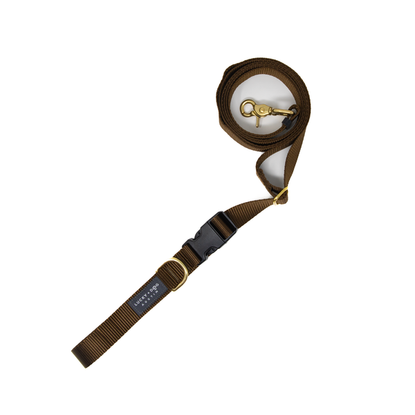 Brown - 8 ft. Hands Free Adjustable Leash