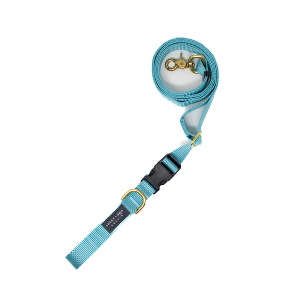 Baby Blue - 8 ft. Hands Free Adjustable Leash