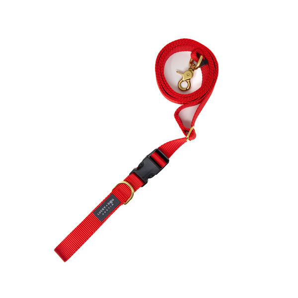 Red - 8 ft. Hands Free Adjustable Leash  Red - 8 ft. Hands Free Adjustable Leash