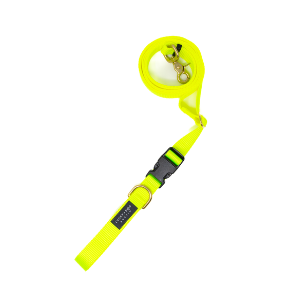 Bright Yellow - 8 ft. Hands Free Adjustable Leash  Bright Yellow - 8 ft. Hands Free Adjustable Leash