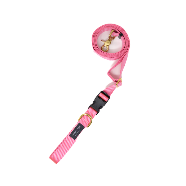 Pink - 8 ft. Hands Free Adjustable Leash