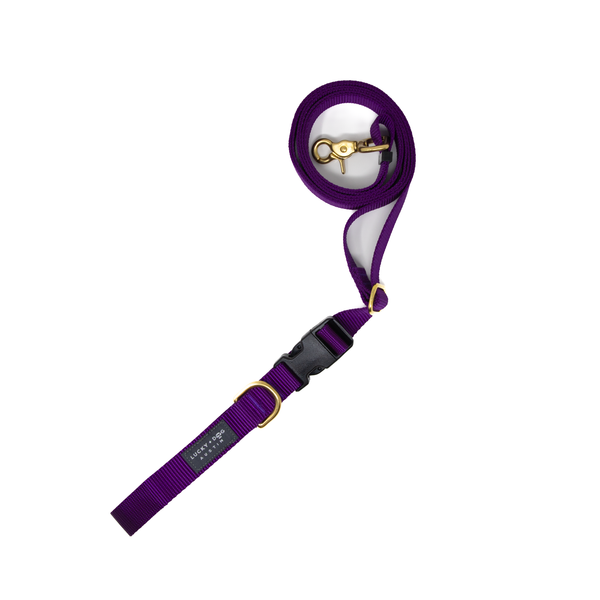 Purple - 8 ft. Hands Free Adjustable Leash  Purple - 8 ft. Hands Free Adjustable Leash