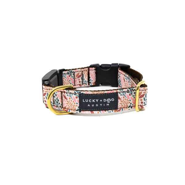 Fi Collar Band - Blushing Birch