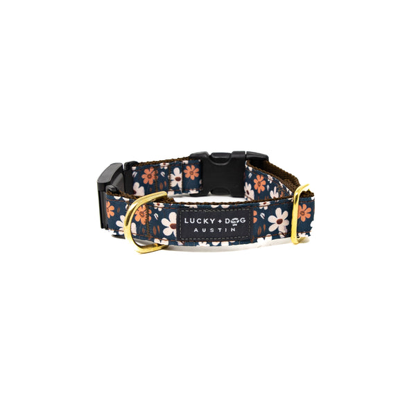 Fi Collar Band - Autumn Meadow