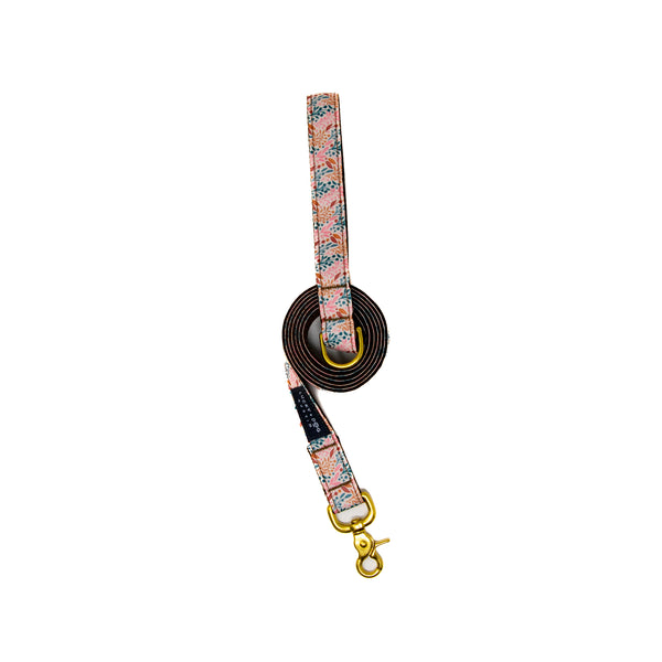 Fi Collar Band - Blushing Birch