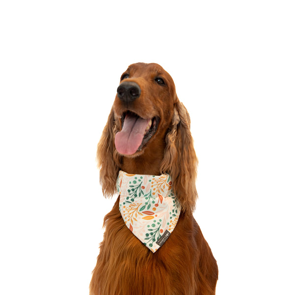 Blushing Birch - Bandana