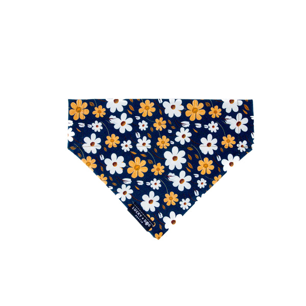 Autumn Meadow - Bandana
