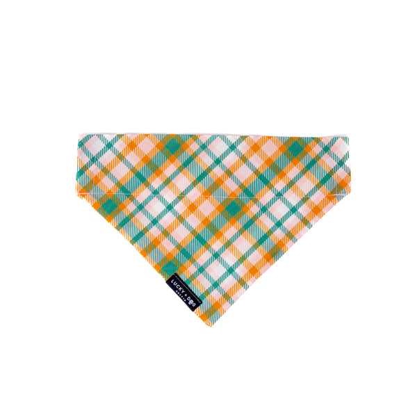Rosehip Check - Bandana