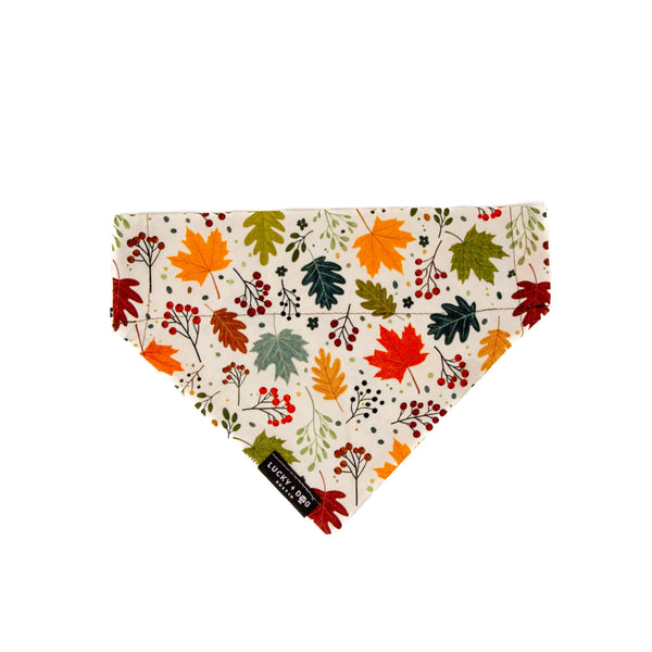 Falling for Autumn - Bandana