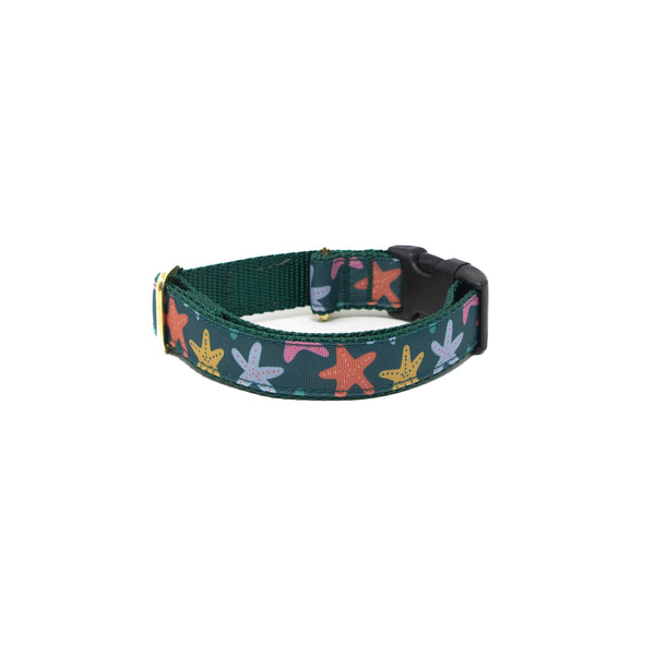 Activewear Collars - Tidepool Treasures