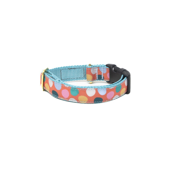 Activewear Collars - Coral Confetti