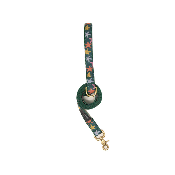 Activewear Collars - Tidepool Treasures