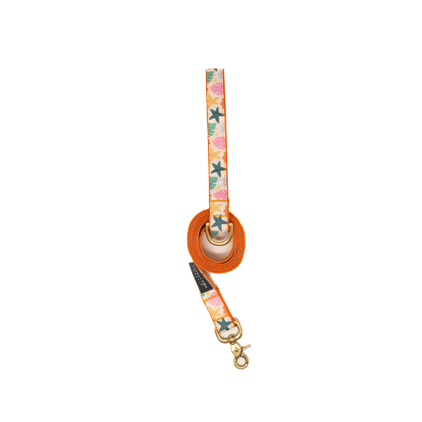 Activewear Collars - Island Bloom
