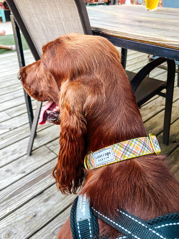 Fi Collar Band - Cozy Cabin  Fi Collar Band - Cozy Cabin