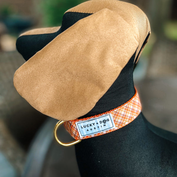 Fi Collar Band - Golden Harvest  Fi Collar Band - Golden Harvest