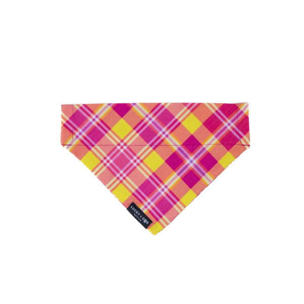 Firefly Nights - Bandana  Firefly Nights - Bandana
