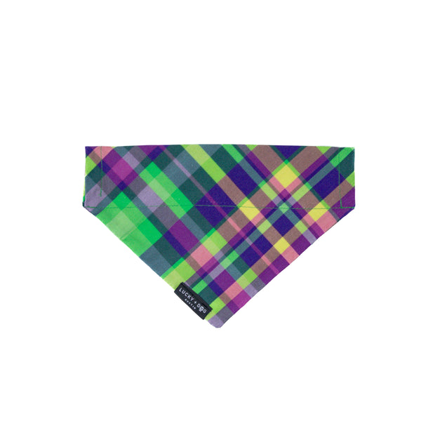 Fi Collar Band - Lucky Limelight  Fi Collar Band - Lucky Limelight