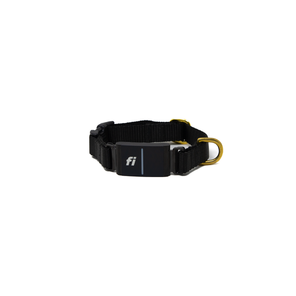Small Dog Activewear Fi - Black