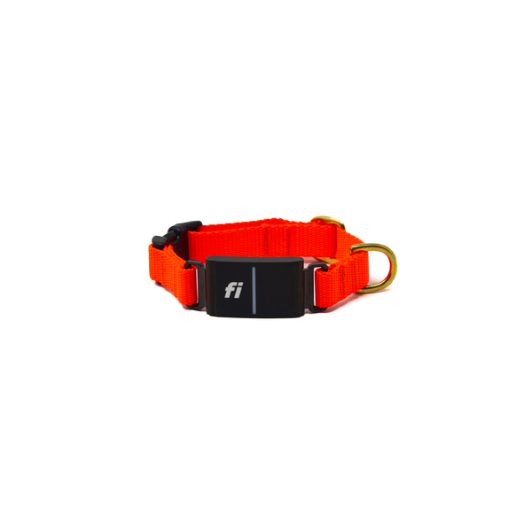 Small Dog Activewear Fi - Neon Orange