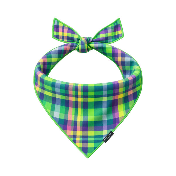 Activewear - Lucky Limelight