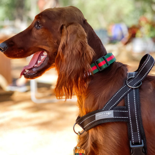 Quick-Fit No-Pull Harness - Black Quick-Fit No-Pull Harness - Black